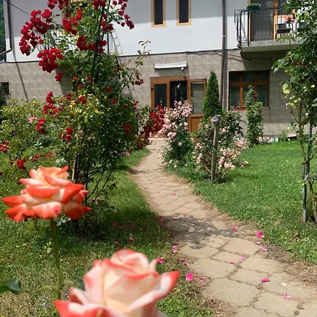 Rouademunte Gasthof Băile Herculane