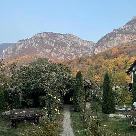 Rouademunte Băile Herculane
